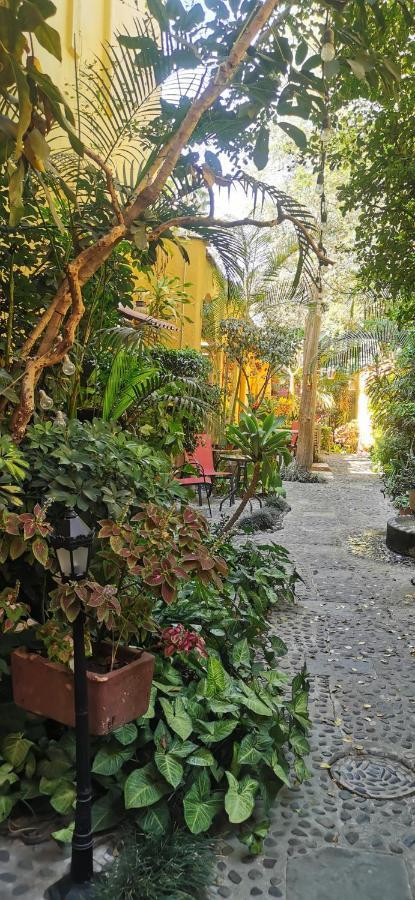 Hotel Rosa Morada Tlaquepaque Luaran gambar